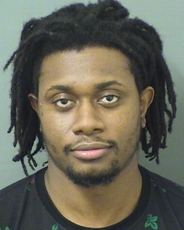  DEMETRY SERGIO HYPPOLITE Results from Palm Beach County Florida for  DEMETRY SERGIO HYPPOLITE