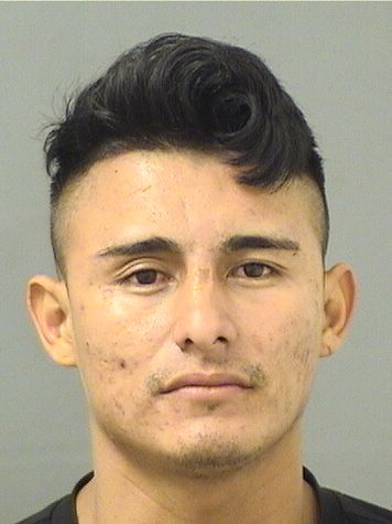  HENRY HERNANDEZ Results from Palm Beach County Florida for  HENRY HERNANDEZ