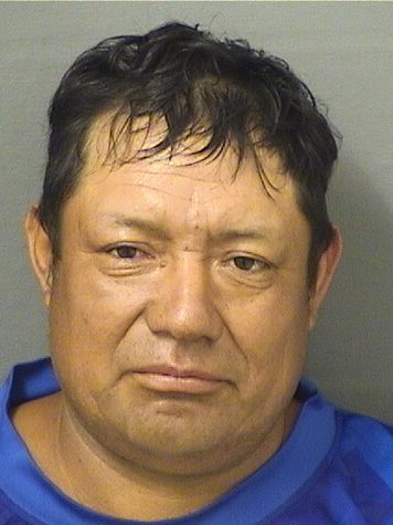  DOMINGO BATEN Results from Palm Beach County Florida for  DOMINGO BATEN