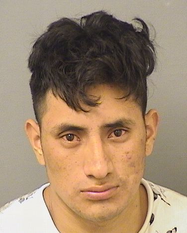  YEYNER GARCIACHAJ Results from Palm Beach County Florida for  YEYNER GARCIACHAJ