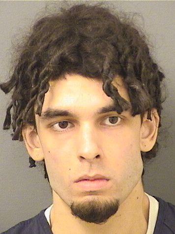  LUIS M GAMIS Results from Palm Beach County Florida for  LUIS M GAMIS