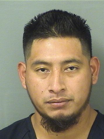  ERVIN ISRAEL LOPEZMEJIA Results from Palm Beach County Florida for  ERVIN ISRAEL LOPEZMEJIA