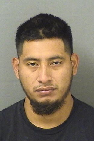  ERVIN LOPEZMEJIA Results from Palm Beach County Florida for  ERVIN LOPEZMEJIA