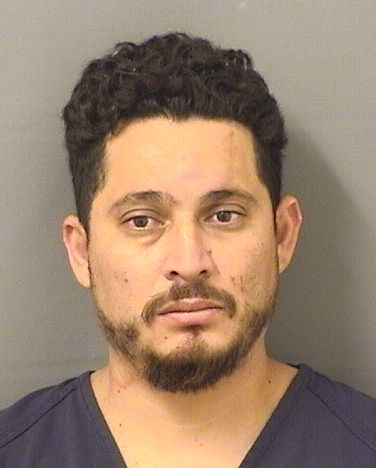  JORGE DANILO GARCIAGONZALEZ Results from Palm Beach County Florida for  JORGE DANILO GARCIAGONZALEZ