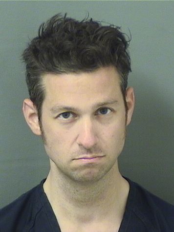  MICHAEL A MILLS Results from Palm Beach County Florida for  MICHAEL A MILLS