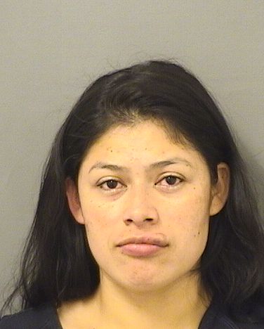  SHARON MARELDY ROLDANMAZARIEGOS Results from Palm Beach County Florida for  SHARON MARELDY ROLDANMAZARIEGOS