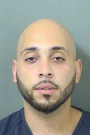  MICHAEL RAY CORREA Results from Palm Beach County Florida for  MICHAEL RAY CORREA