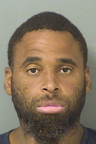  MICHAEL WILDER Results from Palm Beach County Florida for  MICHAEL WILDER