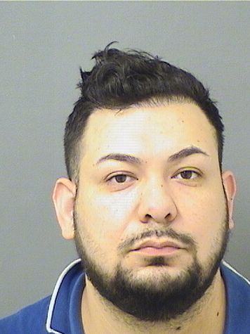  JUAN RAMON LEIJA Results from Palm Beach County Florida for  JUAN RAMON LEIJA