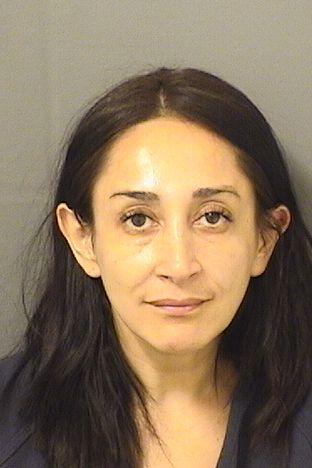  PAOLA ANDREA PULIDODIAZ Results from Palm Beach County Florida for  PAOLA ANDREA PULIDODIAZ