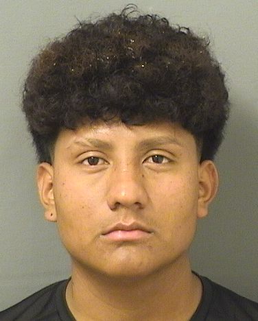  UBALDO RIOSSANTIAGO Resultados de la busqueda para Palm Beach County Florida para  UBALDO RIOSSANTIAGO