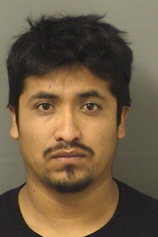  LUIS ENRIQUE HERNANDEZMORENO Results from Palm Beach County Florida for  LUIS ENRIQUE HERNANDEZMORENO