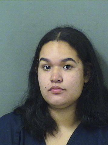  ASHLEY VANEGASORTIZ Resultados de la busqueda para Palm Beach County Florida para  ASHLEY VANEGASORTIZ