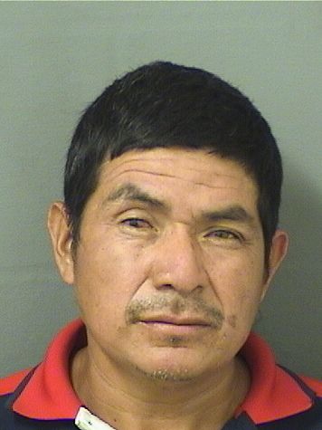  BRIGIDO HERNANDEZSILVESTRE Resultados de la busqueda para Palm Beach County Florida para  BRIGIDO HERNANDEZSILVESTRE