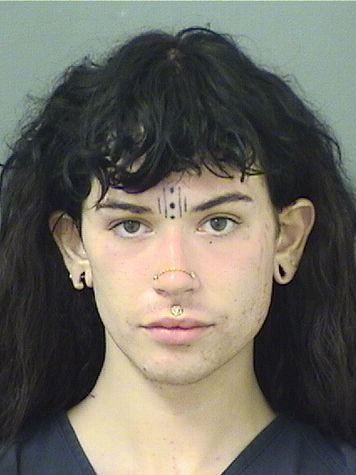  ROBYN ALYCE SEWELLHINES Resultados de la busqueda para Palm Beach County Florida para  ROBYN ALYCE SEWELLHINES