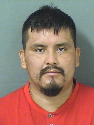  MANUEL NALY MORALESFIGUEROA Resultados de la busqueda para Palm Beach County Florida para  MANUEL NALY MORALESFIGUEROA