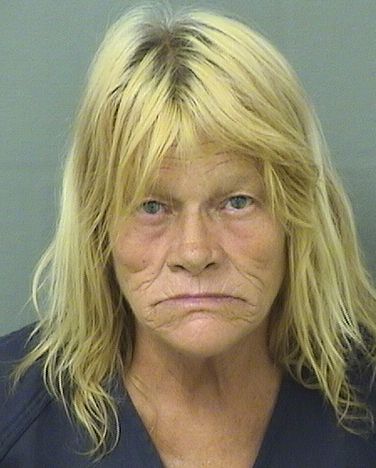  SUSAN LYNN JOHNSON Photo