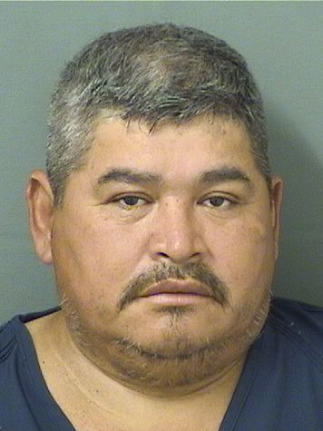  AMADEO CABRESA CANALES Results from Palm Beach County Florida for  AMADEO CABRESA CANALES