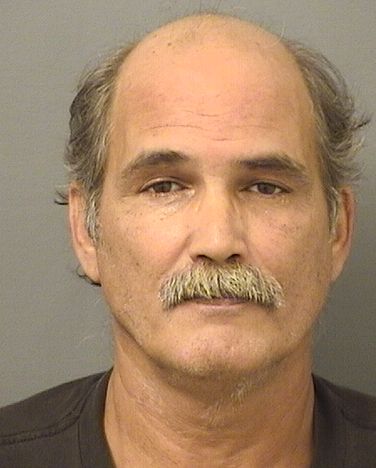  STEVEN WAYNE ELLIS Results from Palm Beach County Florida for  STEVEN WAYNE ELLIS