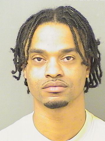  MICHAEL MARSAUN WILLIAMS Results from Palm Beach County Florida for  MICHAEL MARSAUN WILLIAMS