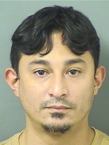  GIANCARLO LACAYOMATUS Results from Palm Beach County Florida for  GIANCARLO LACAYOMATUS