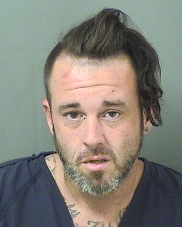  MICHAEL NORTON Results from Palm Beach County Florida for  MICHAEL NORTON