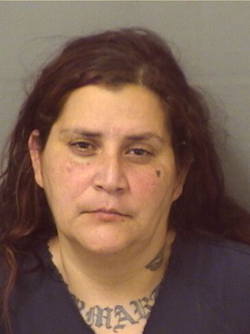  LINDA PATINA Resultados de la busqueda para Palm Beach County Florida para  LINDA PATINA