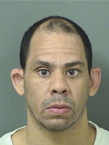  MICHAEL ANTHONY VALDEZ Results from Palm Beach County Florida for  MICHAEL ANTHONY VALDEZ