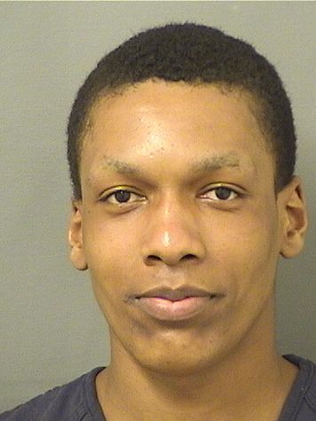  DALVIN LEVON GAMBLE Results from Palm Beach County Florida for  DALVIN LEVON GAMBLE