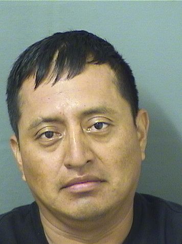  LEONEL HERNANDEZPABLO Resultados de la busqueda para Palm Beach County Florida para  LEONEL HERNANDEZPABLO