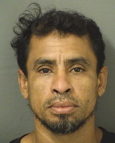  SERGIO ALBERTO ARAZO Resultados de la busqueda para Palm Beach County Florida para  SERGIO ALBERTO ARAZO