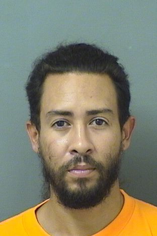  ORLANDO JR ALICEA Results from Palm Beach County Florida for  ORLANDO JR ALICEA