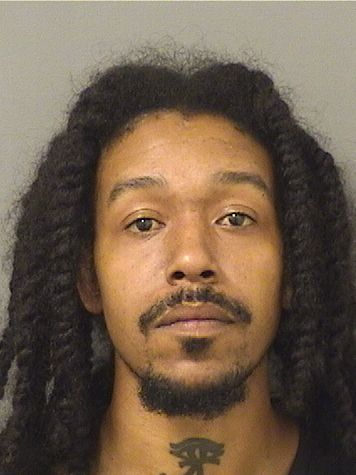  DEVANTE VINCENT ASKINS Results from Palm Beach County Florida for  DEVANTE VINCENT ASKINS
