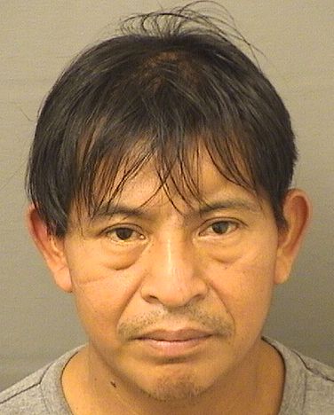  MARCOS FELIPE Photo For  MARCOS FELIPE