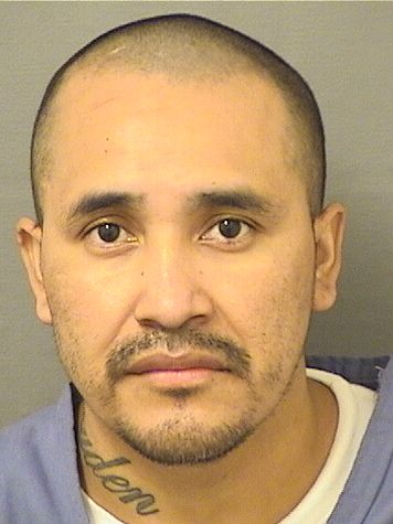  ANDRES MANUEL JUAN Resultados de la busqueda para Palm Beach County Florida para  ANDRES MANUEL JUAN