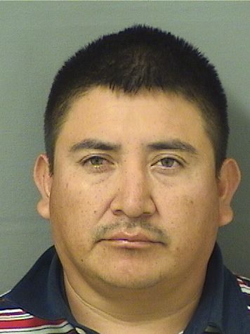  DOLMER LEONARDO SALESORDONEZ Photo For  DOLMER LEONARDO SALESORDONEZ