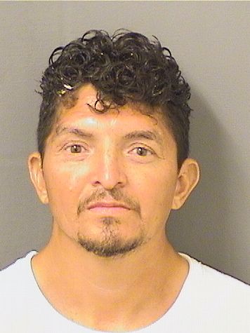  MIGUEL ANGEL MUNOZOSORIO Results from Palm Beach County Florida for  MIGUEL ANGEL MUNOZOSORIO