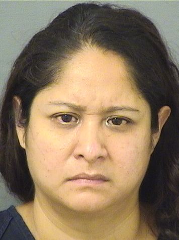  SHEPHELAH AYALA Results from Palm Beach County Florida for  SHEPHELAH AYALA