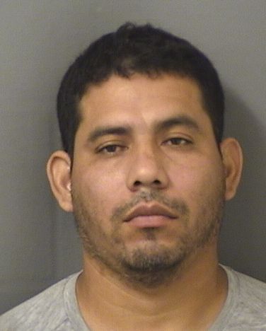  JAIME ANTONIO RAMIREZHERNANDEZ Resultados de la busqueda para Palm Beach County Florida para  JAIME ANTONIO RAMIREZHERNANDEZ
