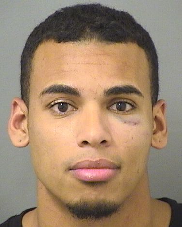  RICHAR ANDRES PERLAZASANCHEZ Results from Palm Beach County Florida for  RICHAR ANDRES PERLAZASANCHEZ