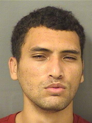 CARL KENNETH OREILLY Photos For  CARL KENNETH OREILLY  CARL KENNETH OREILLY Photo For  CARL KENNETH OREILLY