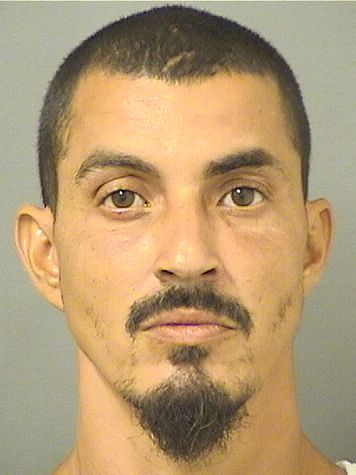  NICHOLAS L AVARIANO Photo For  NICHOLAS L AVARIANO