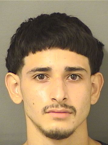  JESUS TORIBIO Results from Palm Beach County Florida for  JESUS TORIBIO