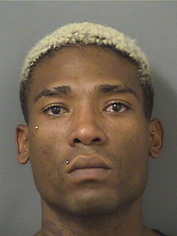  DARIEL ALEJAN GUERRAFERNANDEZ Results from Palm Beach County Florida for  DARIEL ALEJAN GUERRAFERNANDEZ