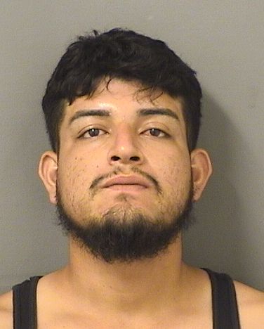  ANTONIO HERRERAGOMEZ Results from Palm Beach County Florida for  ANTONIO HERRERAGOMEZ