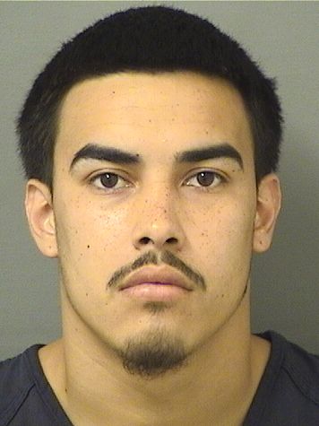  ELIJAH DANIEL SERNAHERNANDEZ Results from Palm Beach County Florida for  ELIJAH DANIEL SERNAHERNANDEZ