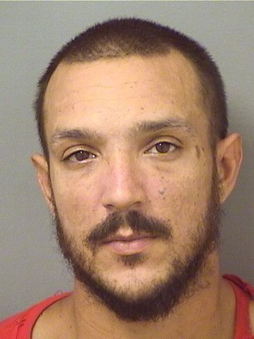  MICHAEL A BARRIENTOS Resultados de la busqueda para Palm Beach County Florida para  MICHAEL A BARRIENTOS