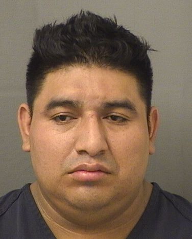  ABEL VASQUEZMENDEZ Results from Palm Beach County Florida for  ABEL VASQUEZMENDEZ