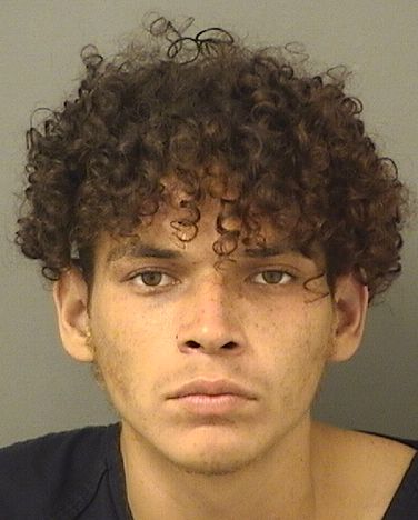  DYLAN O MCDOWELL Results from Palm Beach County Florida for  DYLAN O MCDOWELL