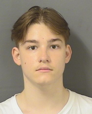  VOLODYMYR SOLOGUB Results from Palm Beach County Florida for  VOLODYMYR SOLOGUB